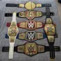 WWE Championships, снимка 1