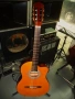 Stagg cl.guitar with electronics, снимка 1