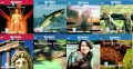 DVD дискове, снимка 12