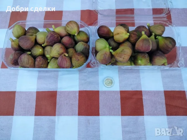 Смокини за директна консумация