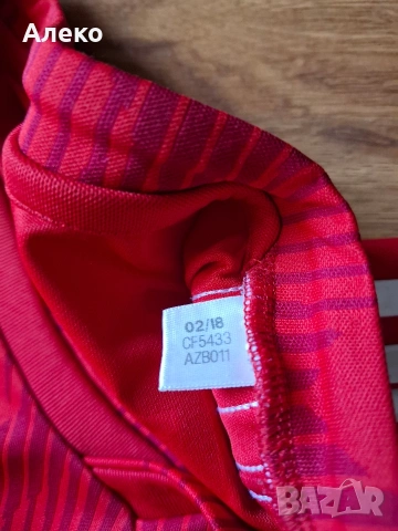 Adidas BAYERN MUNCHEN RIBERY футболна тениска XL размер. , снимка 5 - Футбол - 54724218