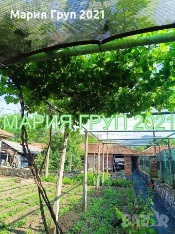 !!!ТОП ОФЕРТА!!!Продавам Къща в село Драгойново област Пловдив!!!, снимка 12 - Къщи - 55059229