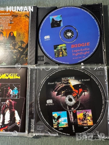 Suzi Quatro - The Rubettes - Budgie, снимка 15 - CD дискове - 54516866