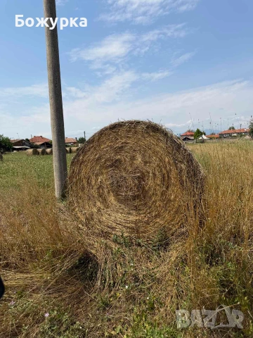 Продавам бали сено