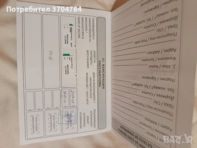 Продавам джак ръсел , снимка 6 - Джак ръсел териер - 54314143