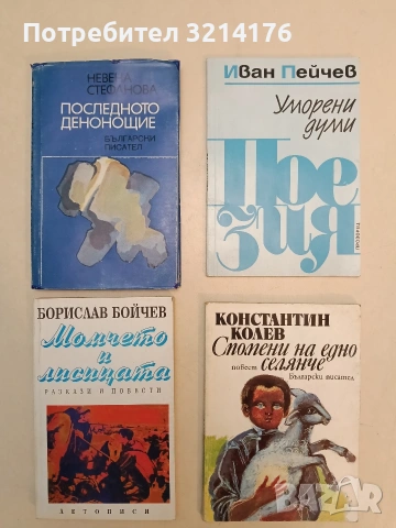 Последното денонощие - Невена Стефанова