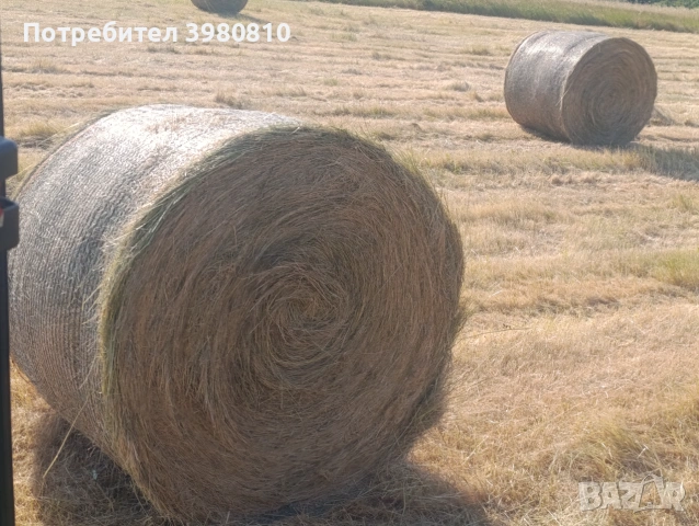 Продавам бали сено , снимка 2 - За селскостопански - 55142524