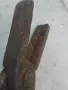 Стари ковашки клещи , снимка 3
