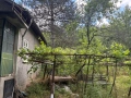 Вила с лозе в американските лозя- гр.Разград, снимка 6