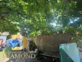 Едноетажна къща в село Долно Ботево, общ. Стамболово, снимка 9
