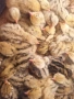 ПЪДПЪДЪЦИ ПРОДАВАМ , снимка 1