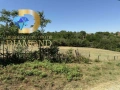 Парцел в село Константиново, общ. Симеоновград, снимка 3