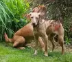 Момче и  момиче, снимка 7