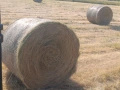 Продавам бали сено , снимка 2