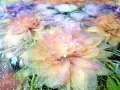Маса за градина, смола, снимка 5