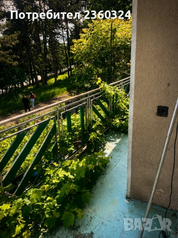 Двуетажна къща с гараж, лозе и стопанска постройка в гр. Ветово, снимка 3 - Къщи - 55127732