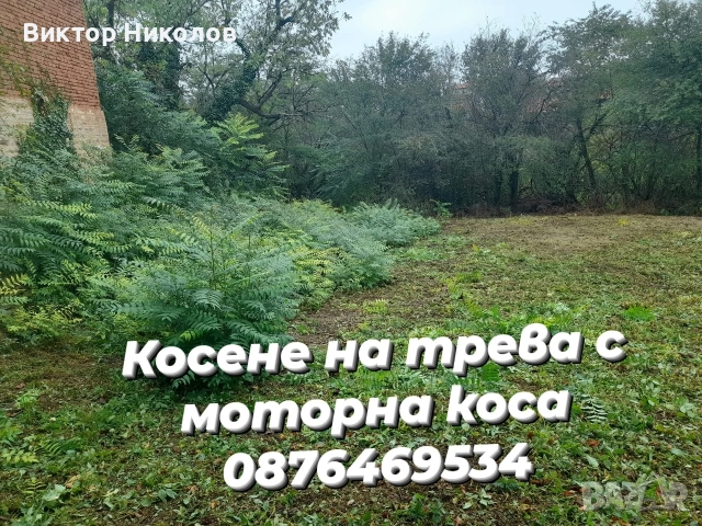 почистване на мазета, тавани, дворове , снимка 15 - Почистване на домове - 54259309