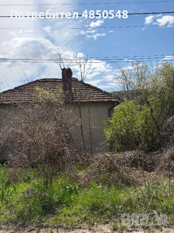 парцел със стара къща в с. Синаговци, Видинско, снимка 6 - Парцели - 54818484