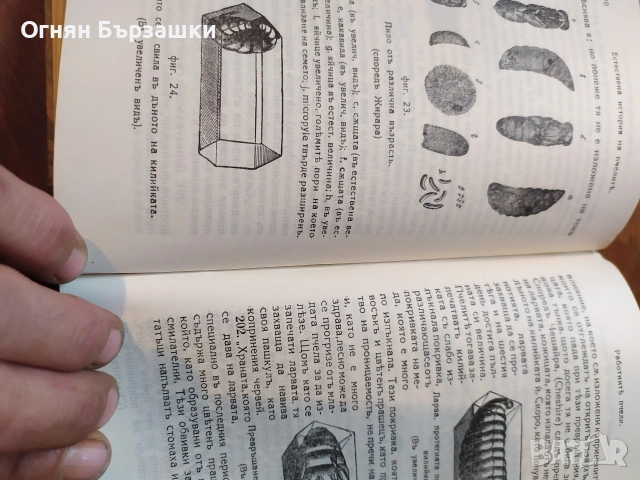 продавам книги , снимка 4 - Антикварни и старинни предмети - 54509778