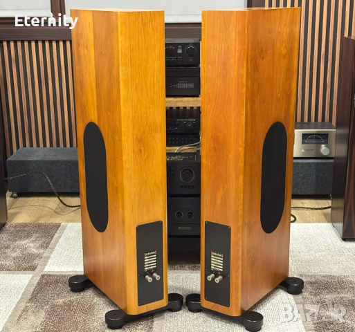Audio Physic Virgo 3 mk1 / Тонколони, снимка 8 - Тонколони - 54544043
