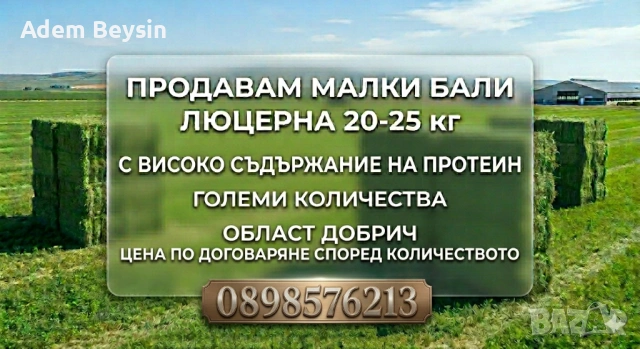 Бали люцерна 20-25 кг