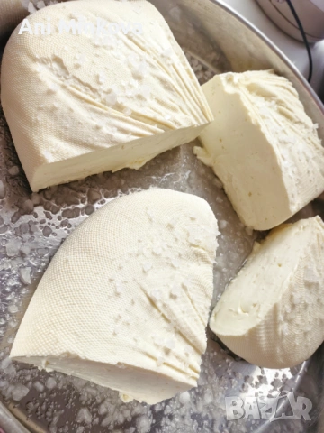 Продавам Прясно овче сирене , снимка 5 - Овце - 54233099