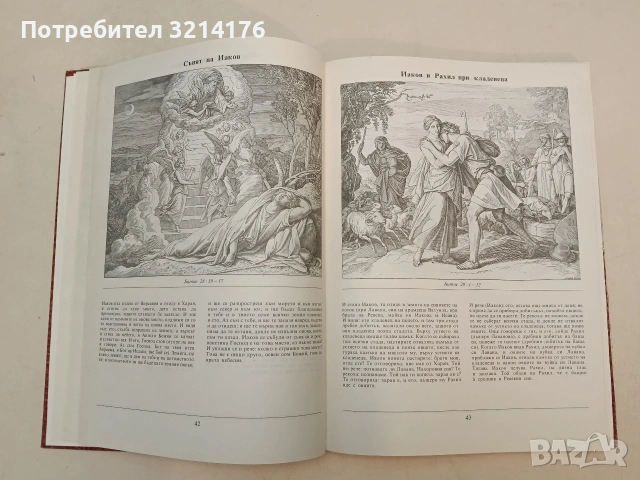 Илюстрирана Библия. 240 гравюри на дърво от Юлиус Шнор фон Каролсфелд - Юлиус Шнор фон Каролсфелд , снимка 2 - Специализирана литература - 55277163