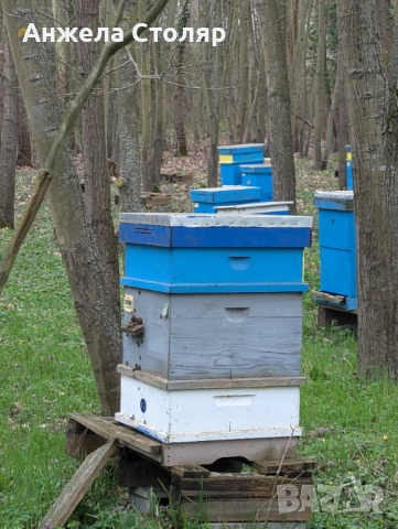 Продава се напълно оборудван пчелин, снимка 9 - За пчели - 54099773
