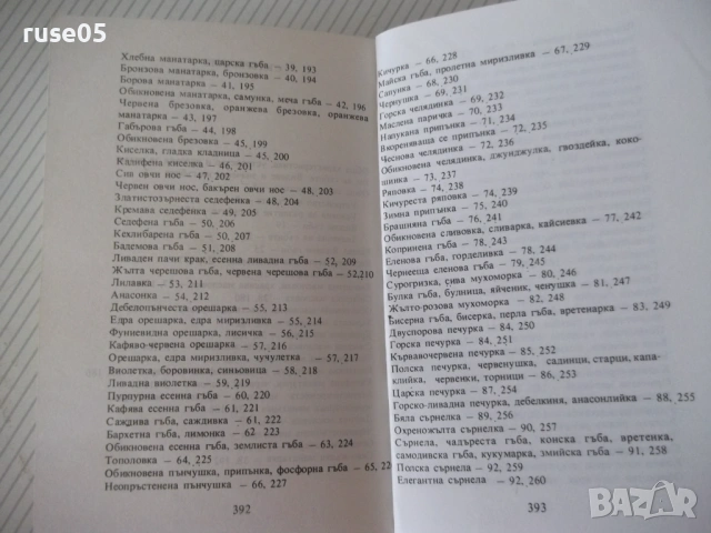 Книга "Нашите гъби - Ц.Хинкова/М.Друмева-Димчева" - 400 стр., снимка 10 - Енциклопедии, справочници - 54929593