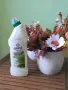 Налични почистващи и перилни препарати GRASS, снимка 7