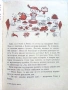 Пипи Дългото Чорапче - Астрид Линдгрен - 1968г., снимка 4