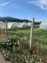 Продавам парцел, снимка 4