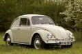 Устройство,техн.обслужване и ремонт на Фолксваген Костенурка 1952-1957 на CD, снимка 1