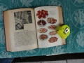 Готварска книга Теодора Пейкова Царство България Оригинал, снимка 5