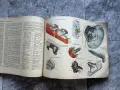 Книга ВАЗ / Лада – Конструкция и техническо обслужване (1979), снимка 3