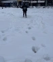 Зимно яке Plein Sport, снимка 2