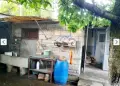 Вила 50м2, парцел 3112м2, 73500 евро, Страшимирово, снимка 2
