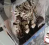 Трансформърси различни видове, снимка 12