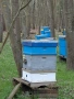 Продава се напълно оборудван пчелин, снимка 9