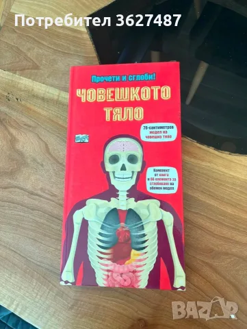 Прочети и сглоби! Човешкото тяло“.