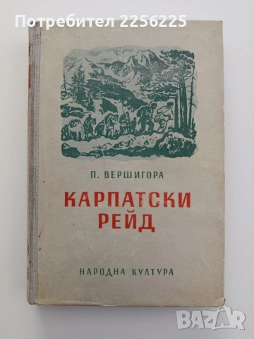Карпатски рейд