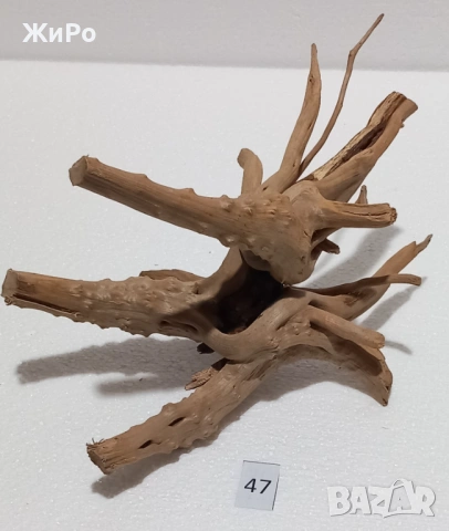 Корен от Азалия /декорация/ 47, снимка 4 - Други - 54102104