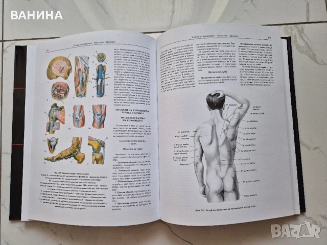 НОВИ! КОЛЕКЦИЯ " АТЛАС ПО АНАТОМИЯ НА ЧОВЕКА " Р.Д. СИНЕЛНИКОВ , снимка 18 - Здраве, медицина и спорт - 55137759