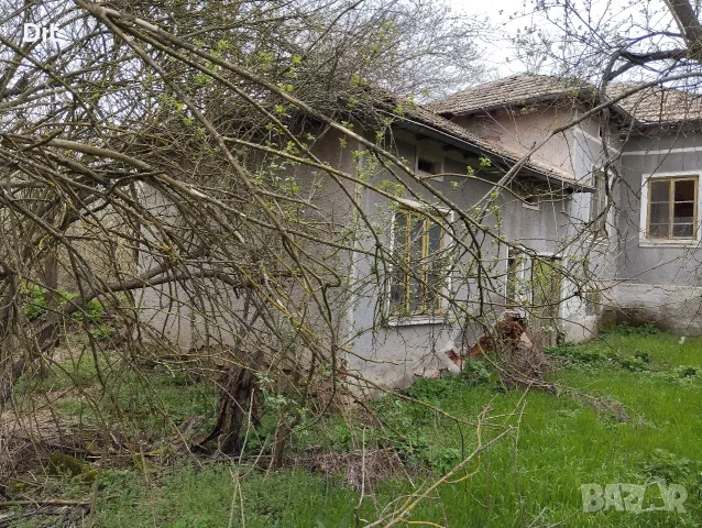 ЕКСКЛУЗИВНО! Продава се здрава тухлена къща с огромен двор (2700 кв.м) и действащ кладенец – с. Росе, снимка 11 - Къщи - 55394357