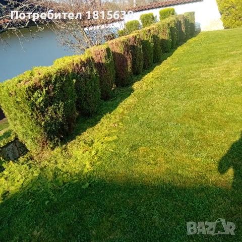 Косене и  други.