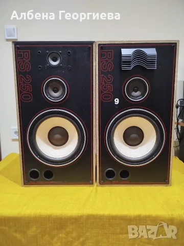 Тонколони ELTAX -RS  250, снимка 2 - Тонколони - 55663998