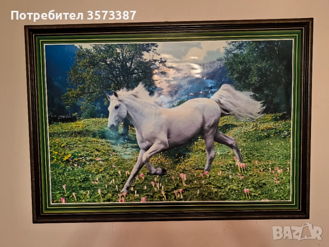 Картини, снимка 4 - Картини - 54887888