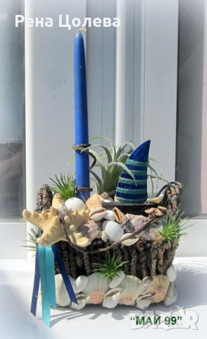 Морски свещник