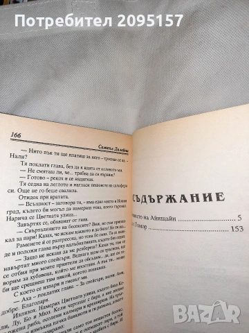 Сечението на Анщайн Самюъл Дилейни, снимка 5 - Художествена литература - 54037331
