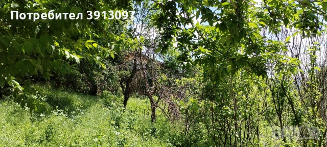 ПАРЦЕЛ В РЕГУЛАЦИЯ С КАРАВАНА, снимка 2 - Парцели - 55092370